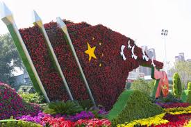 FIFA2026官方网站入口 攀枝花政绿化招标公告网